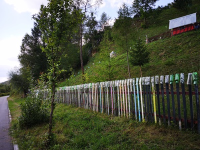 żywopłot jako ogrodzenie naturalne z starych nart